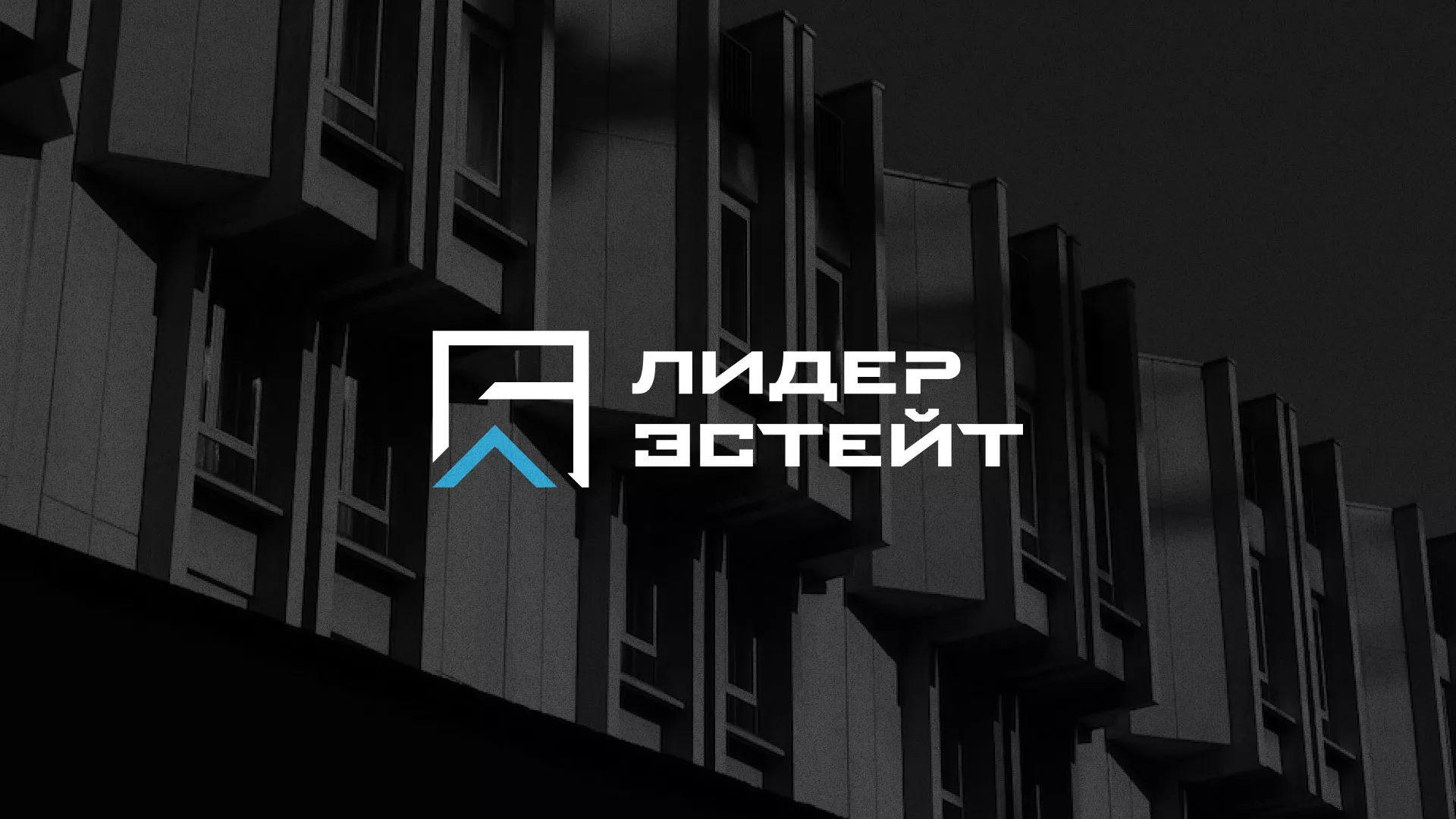 Разработка логотипа агентства недвижимости «Лидер Эстейт» в Железногорске-Илимском